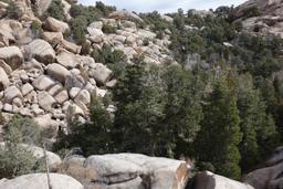 Boulders across from the waterfall [sat oct 19 11:52:27 mdt 2019]